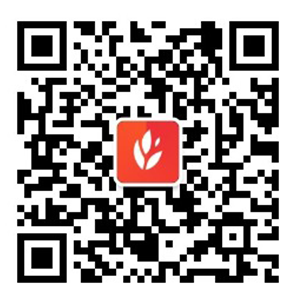 二维码图片